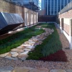 Green Roof